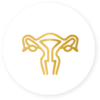 A fisioterapia pélvica (uroginecológica) atua nas incontinências urinárias, disfunções sexuais e do assoalho pélvico (conjunto de músculos e ligamentos que sustentam órgãos como bexiga, útero, intestino e região baixa do abdômen).